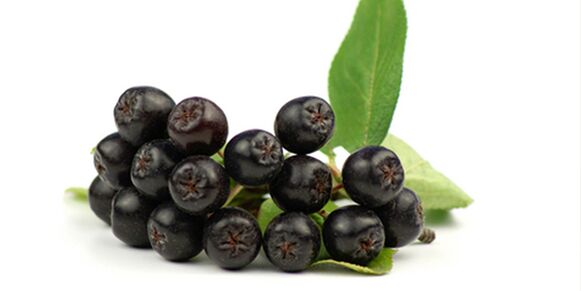 Black mountain ash fruits useful for diabetes